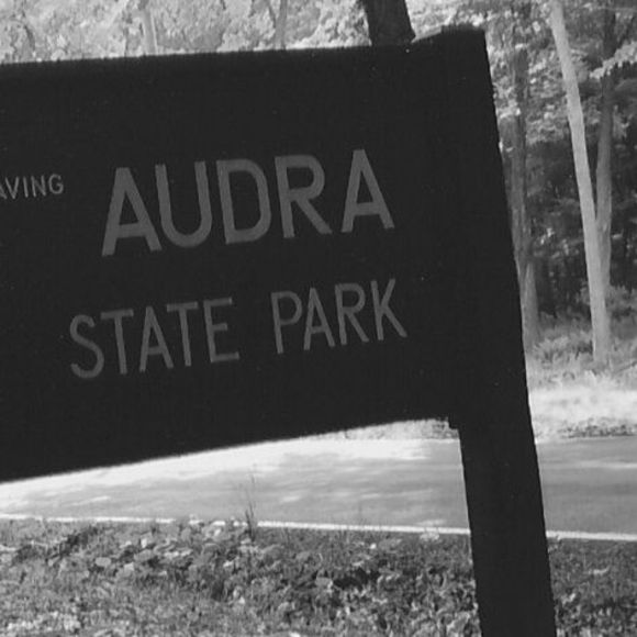 Meet your Posher, Audra - Picture 1 of 1